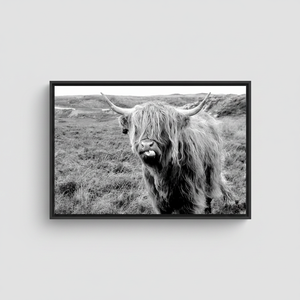Elegant Highland Cow Canvas Print: Scottish Cattle Wall Decor,BLACK <b>FRAMED</b> CANVAS - Product Image 2