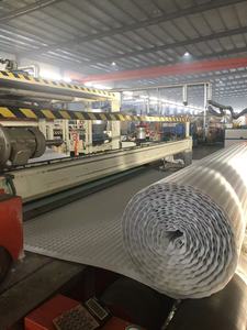 Thoát Nước Hội Đồng Quản Trị với vải địa kỹ thuật tầng hầm chống thấm cho đường hầm mái vườn thoát nước heo rừng HDPE thoát nước bảo vệ" - Product Image 6