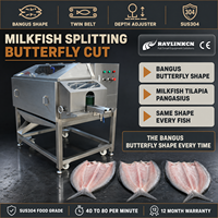 Unité d'Exportation Machine à Fendre le Poisson Acier Inoxydable 304 Serrage par Double Tapis pour Chanos Découpe du Poisson