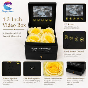 Elegante Display LCD Artigianale da 4,3 Pollici per Gioielli da Matrimonio di Lusso, Risoluzione 800x480, <span class=keywords><strong>Video</strong></span> MP4, Audio Nitido - Product Image 6