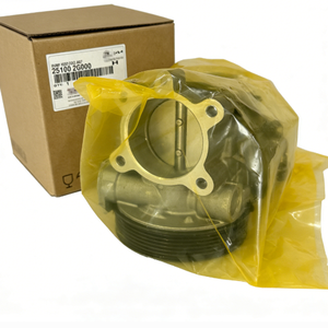 Pompe de refroidissement de haute qualité PUMP ASSY-COOLANT 25100-2G000 251002G000 pour Hyundai Accent 25100 2G000 - Product Image 1