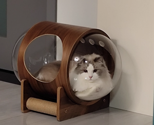 Casa para Gatos de Madera Maciza y Acrílico con Cápsula Espacial Transparente, Cama para Gatos y Árbol para Gatos, Nido de Parto para Gatos para Todas las Estaciones - Product Image 6