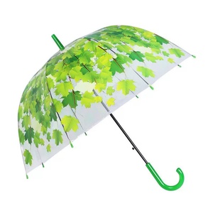 Adult Clear <b>Bubble</b> Straight Iron <b>Tube</b> Umbrella-Modern Design Windproof Business Gift Option Manual Opening Dome Protection - Product Image 1