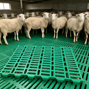 Équipement d'élevage agricole : Panneau de sol en plastique <span class=keywords><strong>à</strong></span> lattes pour moutons, chèvres, porcs, planche de drainage des excréments, <span class=keywords><strong>filet</strong></span> de drainage pour enclos animalier - Product Image 6