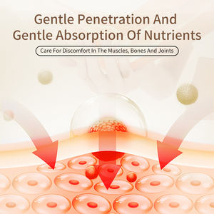Spray Anti-Douleur Végétal à Action Rapide en Gros Ingrédients Naturels pour le Traitement des Douleurs du Genou du Pied et du Dos Emplâtre Chinois Classe I - Product Image 4