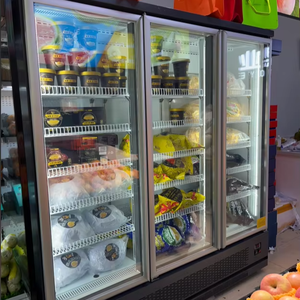 Congeladores verticales comerciales <span class=keywords><strong>Frigo</strong></span> Congelador Equipo <span class=keywords><strong>de</strong></span> refrigeración sin escarcha para exhibición <span class=keywords><strong>de</strong></span> <span class=keywords><strong>helados</strong></span> <span class=keywords><strong>de</strong></span> almacenamiento <span class=keywords><strong>de</strong></span> carne - Product Image 2