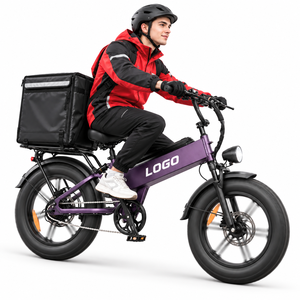 Bicicleta Eléctrica D40 Commuter al por Mayor, 750W, 48V40AH, 80N·m Torque 45 °   Personalizado de Fábrica para Repartidores - Product Image 1