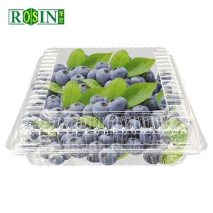 Plastic Salad Container Disposable Clear Plastic Blueberries Fresh Fruit Salad Packaging Container