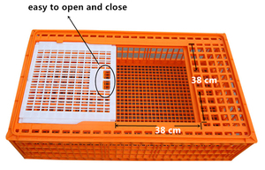 Jaula de Plástico PP Nueva para Pollos, 96x56x27cm, Color Naranja, para Transporte de Pollos Vivos, Uso en Mataderos, Capacidad para 12-15 Pollos - Product Image 3