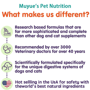 Complément alimentaire aux champignons Muyue pour chiens et chats, marque privée, champignons Crinière de lion et Queue de dinde, à mâcher, pour la cognition et la santé immunitaire - Product Image 3