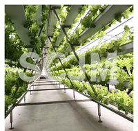 Système hydroponique NFT multi-niveaux en forme de A pour la culture de la laitue, des herbes aromatiques et des légumes à feuilles, à usage agricole