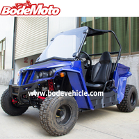 Buggy en paille à essence avec châssis 2 sièges, 2 places, deux places, latérale à côté, bon marché, vente en gros