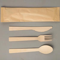 Offre Spéciale : Ensemble de Couverts en Bois Biodégradables de 160 mm pour la Restauration