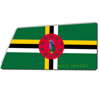 Tapis de sol d'intérieur avec drapeau du Belize, tapis de bienvenue pour entrée, tapis de bienvenue extérieur, tapis de sol à profil bas pour entrée et patio