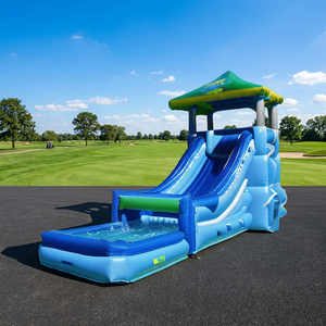 Tobogán Acuático Inflable de PVC Comercial <span class=keywords><strong>Personalizado</strong></span> de Fábrica con Piscina, Apto para Fiestas y Alquiler al Aire Libre para Niños y Adultos - Product Image 1