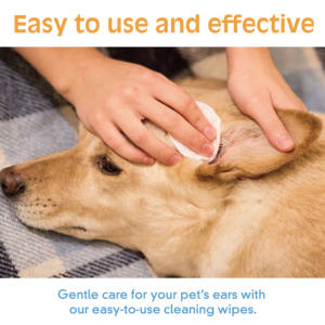 ผ้าเช็ดทำความสะอาดหูสำหรับสุนัขออร์แกนิคแบบปรับแต่งได้ผ้าเช็ดทำความสะอาดหูสำหรับสุนัขเป็นมิตรกับสิ่งแวดล้อม - Product Image 4