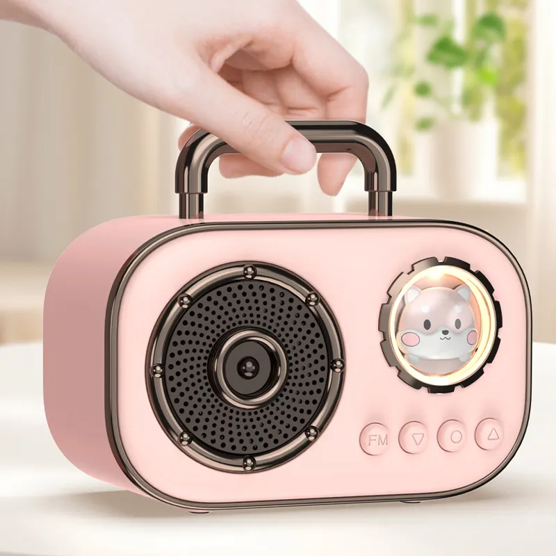 Draadloze Stereo Type C Opladen Schattige Ruimte Hond Fm Draadloze Bluetooth Speaker Met Fm Radio Aux Tf Kaart