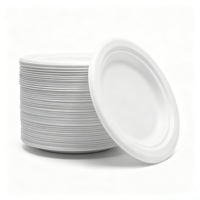 Vaisselle jetable écologique et biodégradable en canne à sucre, assiettes en pulpe de bagasse carrées et rondes pour fêtes, camping et traiteur