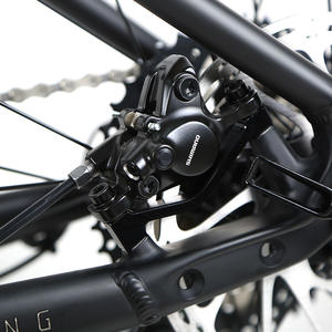 Bicicletta Elettrica da Montagna EC1 Wheeltop EDS OX-12Speed, <span class=keywords><strong>E</strong></span>-Bike Urbana con Sospensioni per il Tempo Libero - Product Image 4