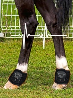 Ceinture de thérapie par lumière rouge pour chevaux avec batterie rechargeable intégrée, LED infrarouges 660nm 850nm, pour soulager la douleur équine, avec fonction pulsée et minuterie