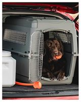 Cage de transport pour chien et chat en plastique avec porte en fil métallique, design aéré, fermeture à loquet durable, poignée supérieure, forme rectangulaire