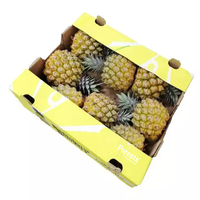 Carton d'expédition pour ananas frais, carton ondulé robuste, boîte d'emballage pour fruits, pour l'approvisionnement agricole