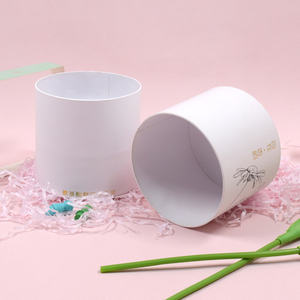 FPG kundendefinierte starke Suckulens-Verpackung aus Karton wellpappe Versandbox mit Zylinder für Pflanzen - Product Image 5