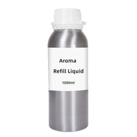 Recharge liquide en gros pour diffuseur à bâtonnets, haute capacité, soluble dans l'eau, parfumée aux plantes, personnalisée, pour aromathérapie