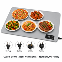 Tapis chauffant alimentaire électrique en silicone OEM, directement de l'usine, grande taille rectangulaire, chaleur réglable avec affichage numérique