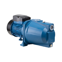 220V/50Hz maison auto-amorçante Jet pompe moteur à eau électrique pompe à eau Machine avec protecteur thermique à l'intérieur