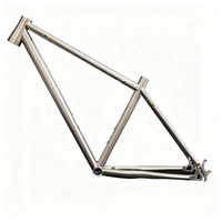 Cadre de vélo en titane Gr9 sur mesure, usinage CNC, léger, résistant, anti-corrosion, course sur route, VTT, peinture personnalisée