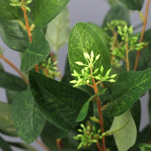 Decorazione da Tavolo con Fiori Artificiali, Ornamento Transfrontaliero, Ramo Singolo con Foglie di <span class=keywords><strong>Eucalipto</strong></span> Artificiale 140cm - Product Image 4