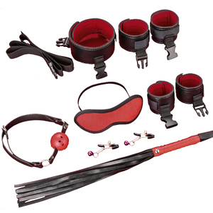 BDSM Sex Torture Toys - Extreme Pleasure for Couples BDSM Sex Torture Toys - Extreme Pleasure for Couples