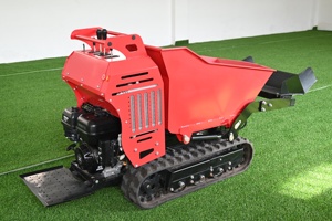 Minidumper Hidráulico de Gasolina de Cuatro Ruedas de Acero Industrial Chino 2026 con Certificación CE EPA, 500 kg, con Cargador, Carretilla y Herramientas OEM - Product Image 3
