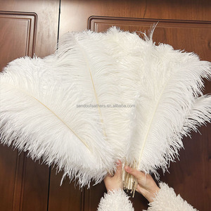 Vente en gros de <span class=keywords><strong>plumes</strong></span> <span class=keywords><strong>d</strong></span>'<span class=keywords><strong>autruche</strong></span> blanches de 55 à <span class=keywords><strong>60</strong></span> <span class=keywords><strong>cm</strong></span> pour les costumes de carnaval <span class=keywords><strong>d</strong></span>écoration de fête de mariage Plumas - Product Image 3