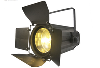 200W Zoom COB Par Can Light Stage DJ Light LED Audience Blinder Disco Club Light DMX pour Show Theatre Studio