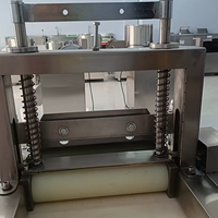 Machine voor het snijden van gedroogd fruit & groenten met pomp, eenvoudig te bedienen