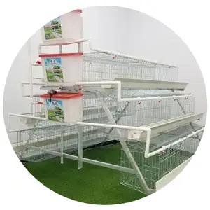 Poulailler pour poules/Cage galvanisée, abri réglable pour élevage de volaille