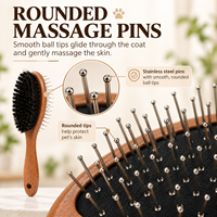 Ensemble de 2 brosses et peignes de toilettage pour animaux de compagnie, poils de sanglier, manche en bois d'ébène, pour chiens et chats, élimination des poils morts, massage, outil de soin