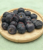 Suiker vrije, hele, gevriesdroogde bosbessen, klein draagbaar pakje, natuurlijke, gezonde, knapperige fruitsnack voor yoghurt en onderweg.