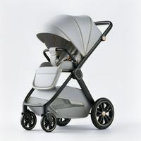 Poussette Super Légère Bebe Coche, Valise de Luxe, Adaptée aux Avions, Fabriquée en Chine