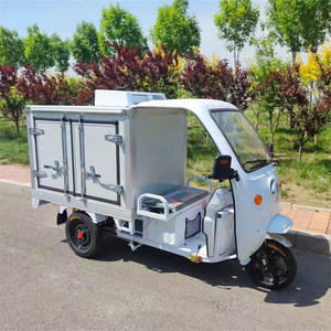 <span class=keywords><strong>Tricycle</strong></span> de réfrigérateur de cabine congelée de type corps fermé de moto à trois roues de 800W de vente chaude pour la livraison de crème glacée à un prix - Product Image 6