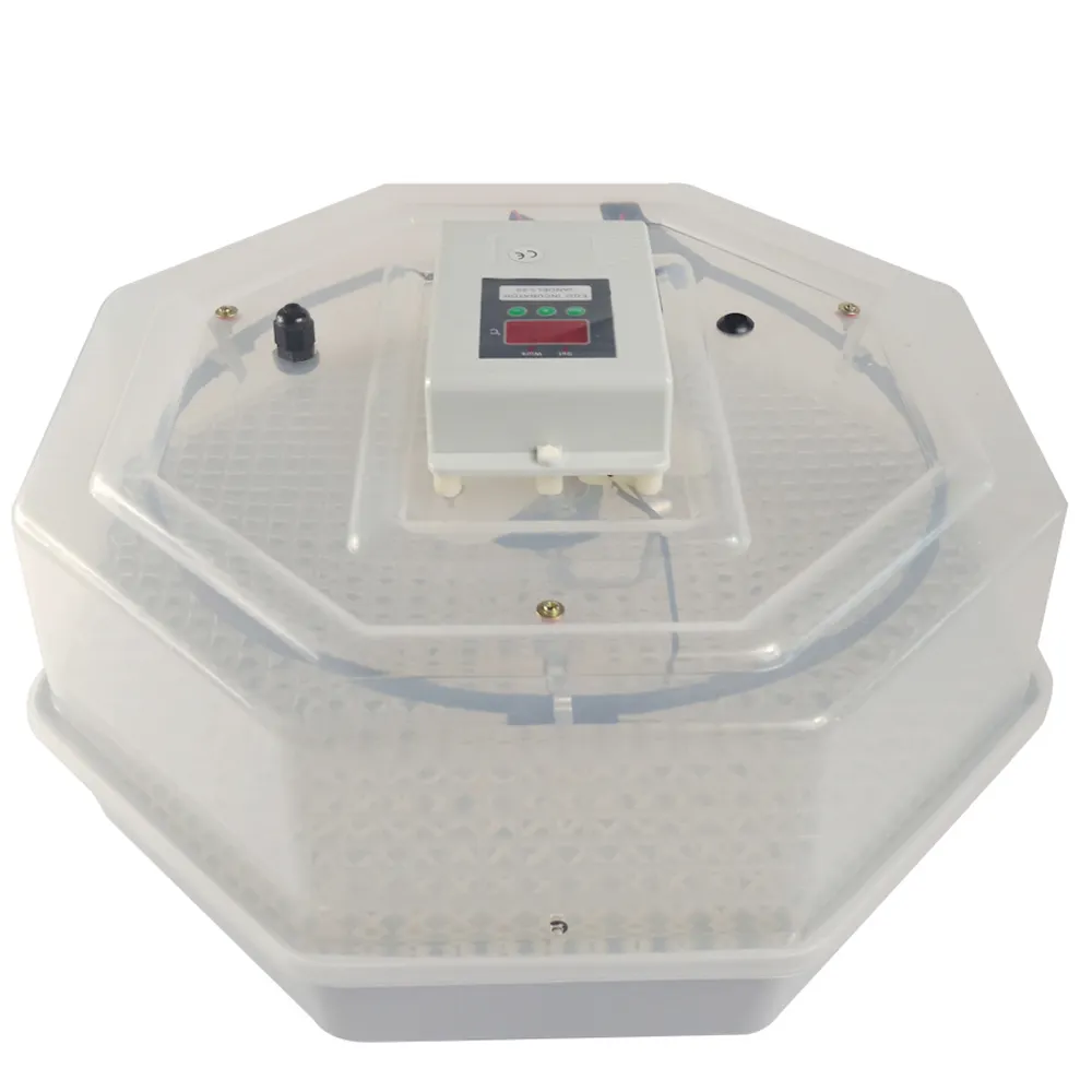 Incubadora para ovos com display led, 60 mini incubadora de ovos para galinha, chocadora, para venda