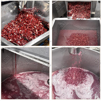 Industriële Automatische Professionele Granaatappel Aril Separator Schroef Pers Juicer Machine Granaatappelsap Productielijn