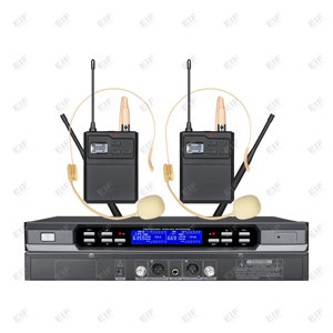 Micrófono Inalámbrico Profesional HP-3000 de Doble Canal con Batería AA, Conector XLR y Control de Volumen para Karaoke/Bar/Fiestas - Product Image 5