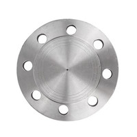 Brida Ciega Forjada Antifugas de Acero Inoxidable SS304 SS316L A105: Solución Confiable de Sellado Final para Sistemas de Tuberías Industriales