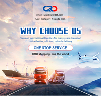 Agent Maritime Transitaire DDP DDU LCL DHL UPS Express Porte-à-Porte de Chine vers le Royaume-Uni, l'Italie, l'Allemagne, les États-Unis, l'Afrique du Sud, les EAU