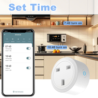 FY41Tasmota 智能插头（英国版）带能源监控器 ESP32-C3 电能表插座 DIY 开源固件 与 Home Assistant 配合使用