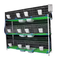 Équipement d'élevage avicole : 12 cages à lapins galvanisées soudées, maison d'élevage de lapins avec nichoir intégré et cages à lapins
