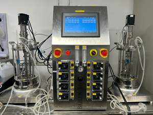 Высокое качество 20 л стеклянный ферментер Bailun оборудование для BLBIO-20GJA химии механическое перемешивание двигателя биореактор - Product Image 5